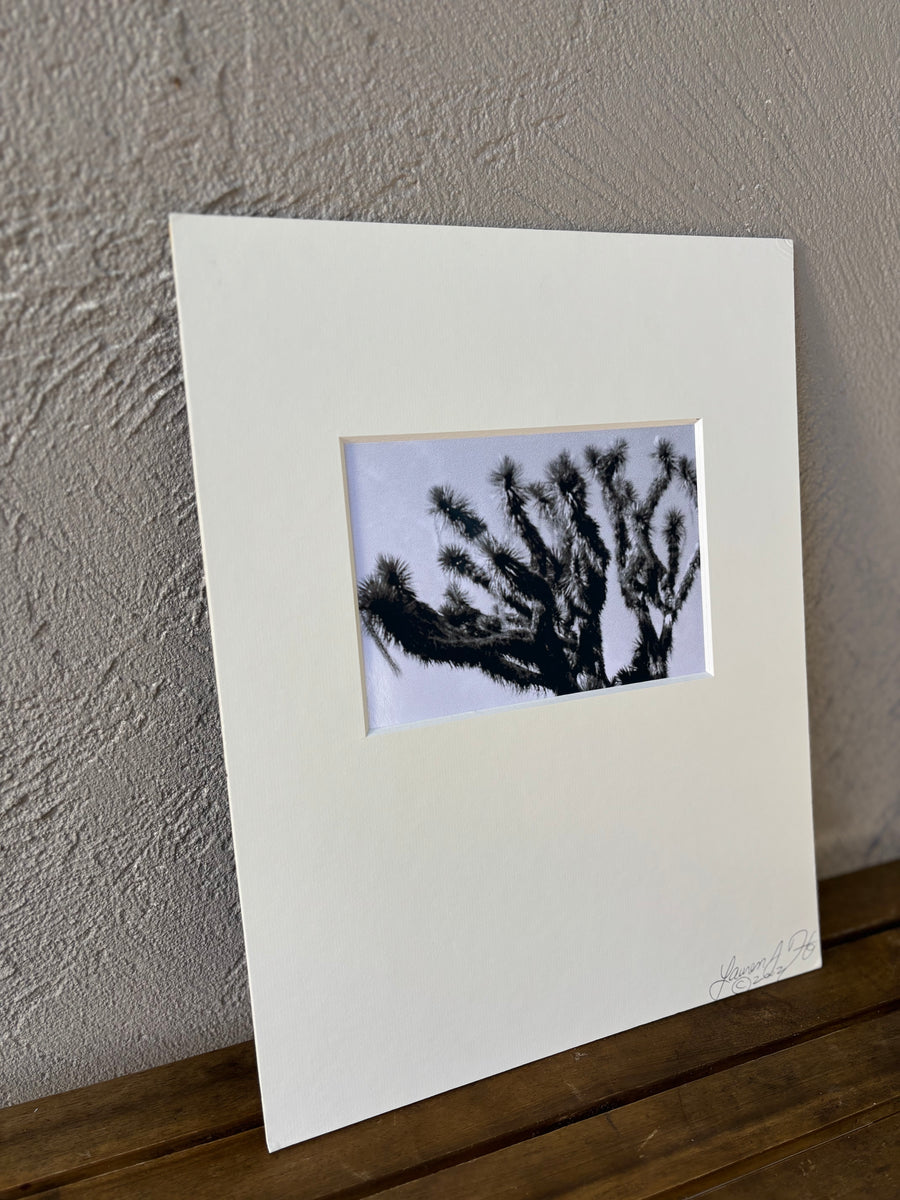 Vintage European Photo 1.6