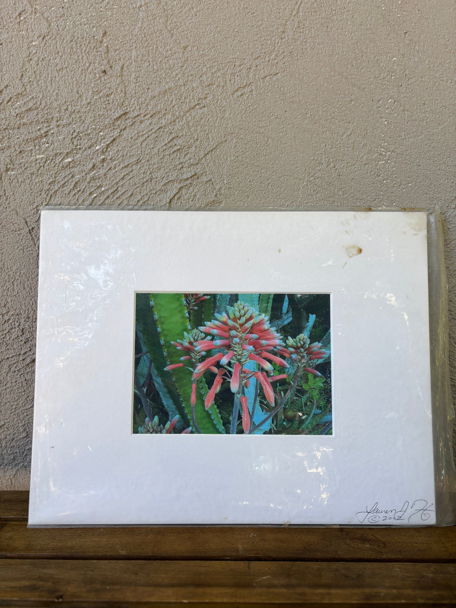 Vintage European Photo 1.2