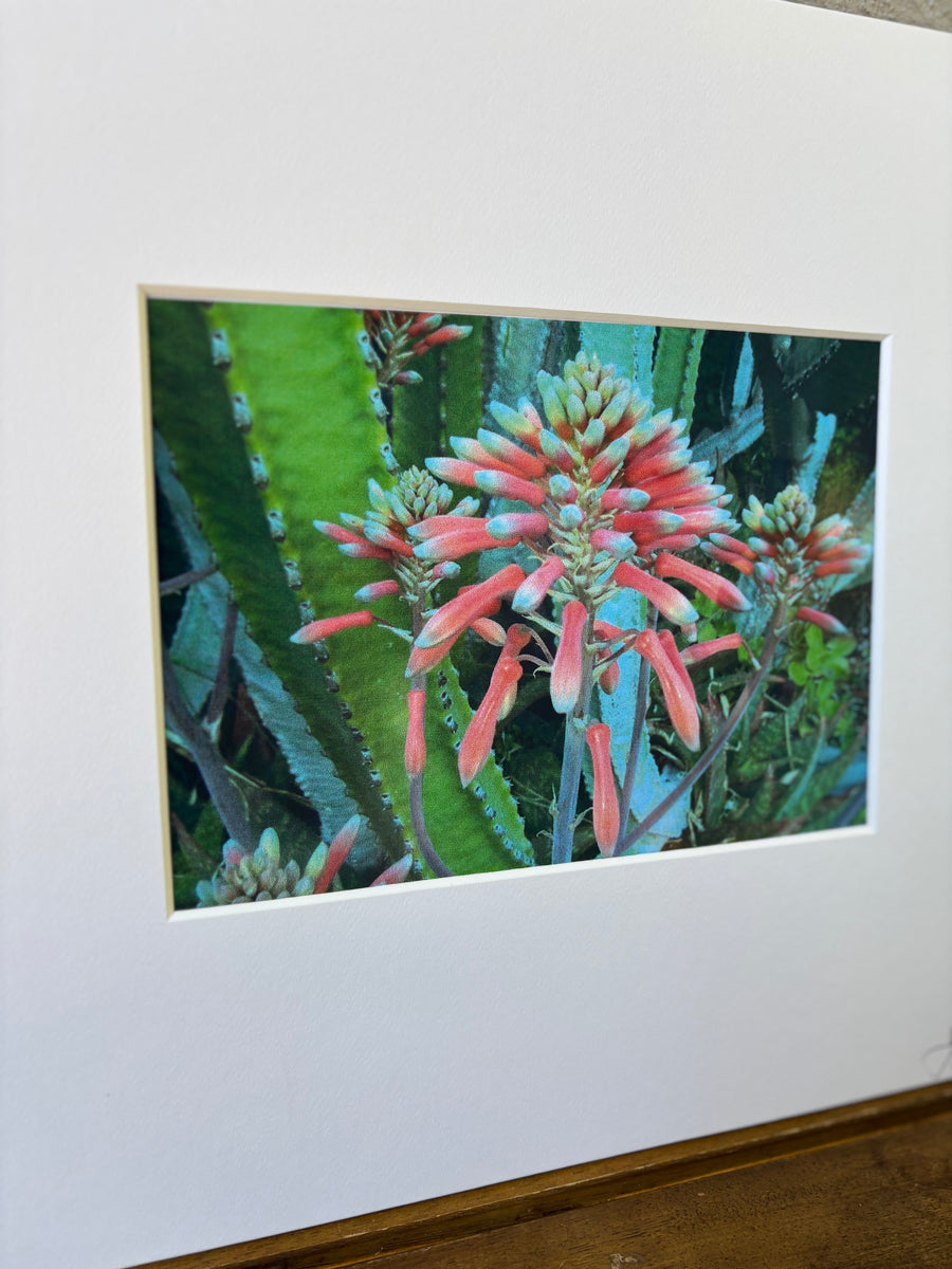 Vintage European Photo 1.2