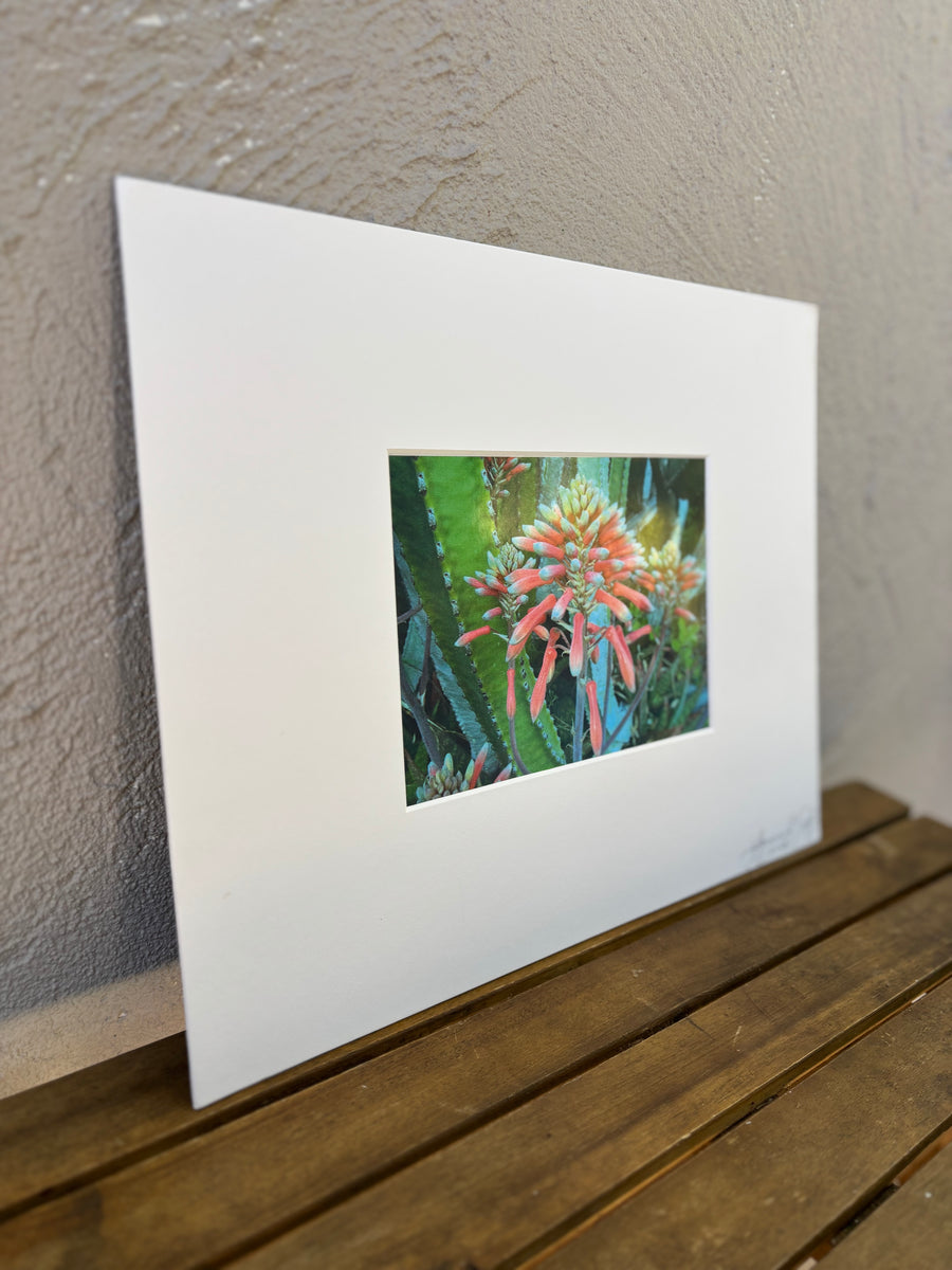 Vintage European Photo 1.2