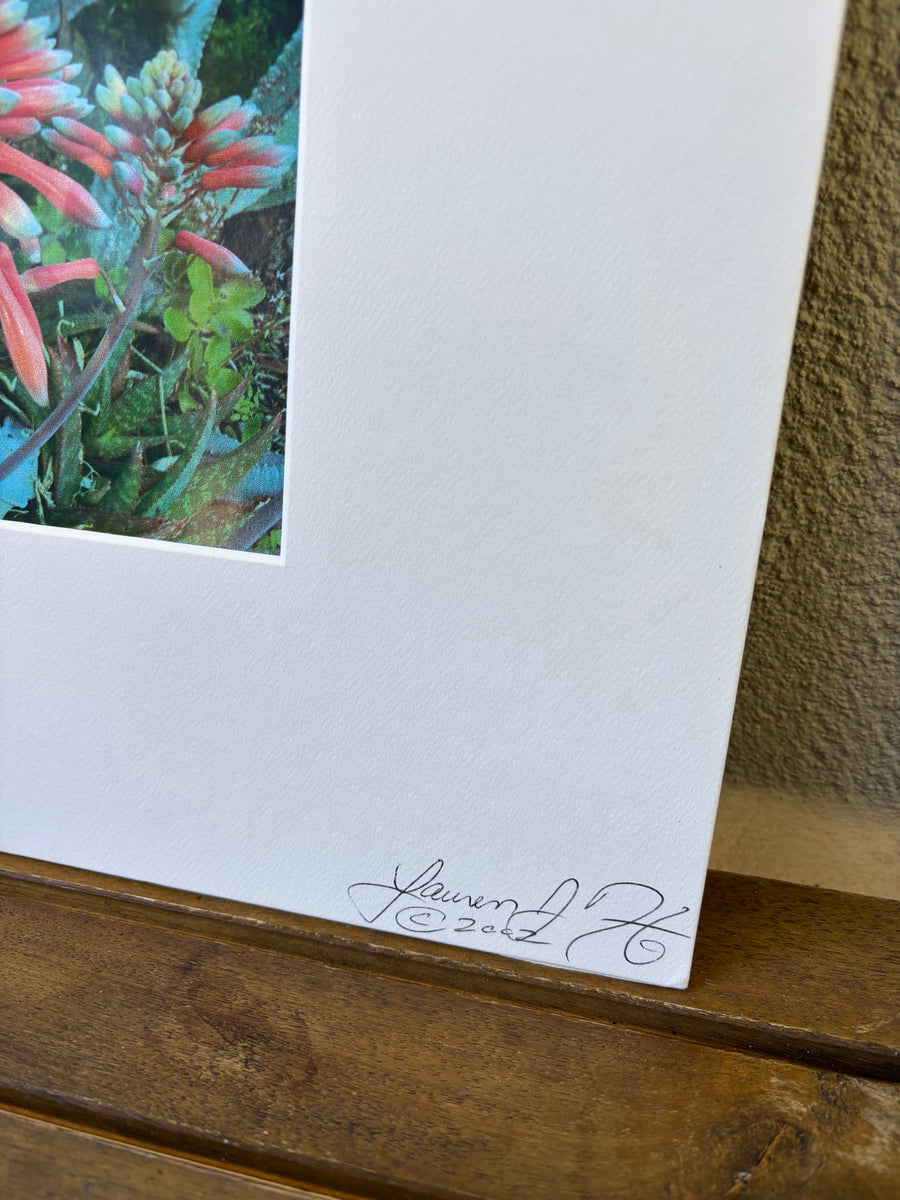 Vintage European Photo 1.2