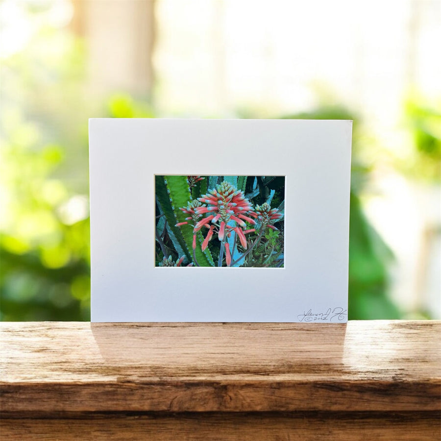 Vintage European Photo 1.2